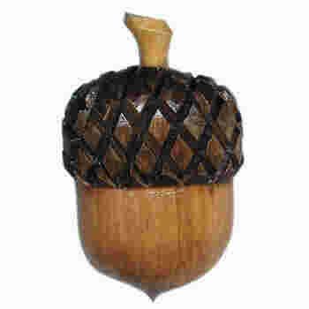 Acorn Meaning and Definition