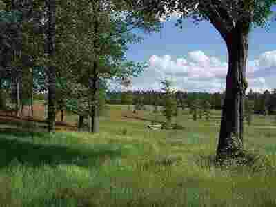 Acreage Meaning and Definition