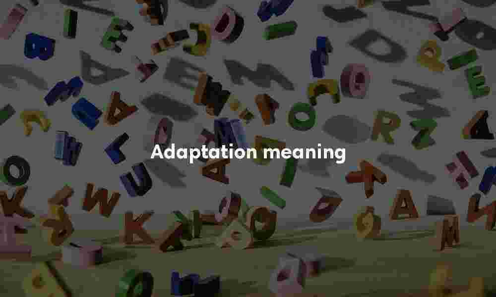 Adaptation definition Adaptation meaning