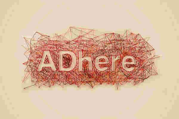 Adhere Meaning and Definition