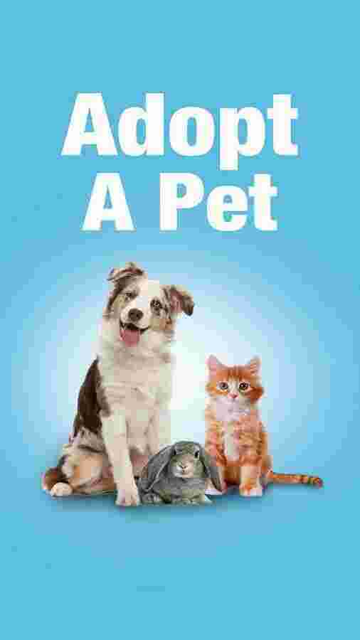 Adopt Meaning and Definition