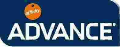Advance Meaning and Definition