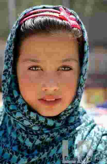Afghan Meaning and Definition