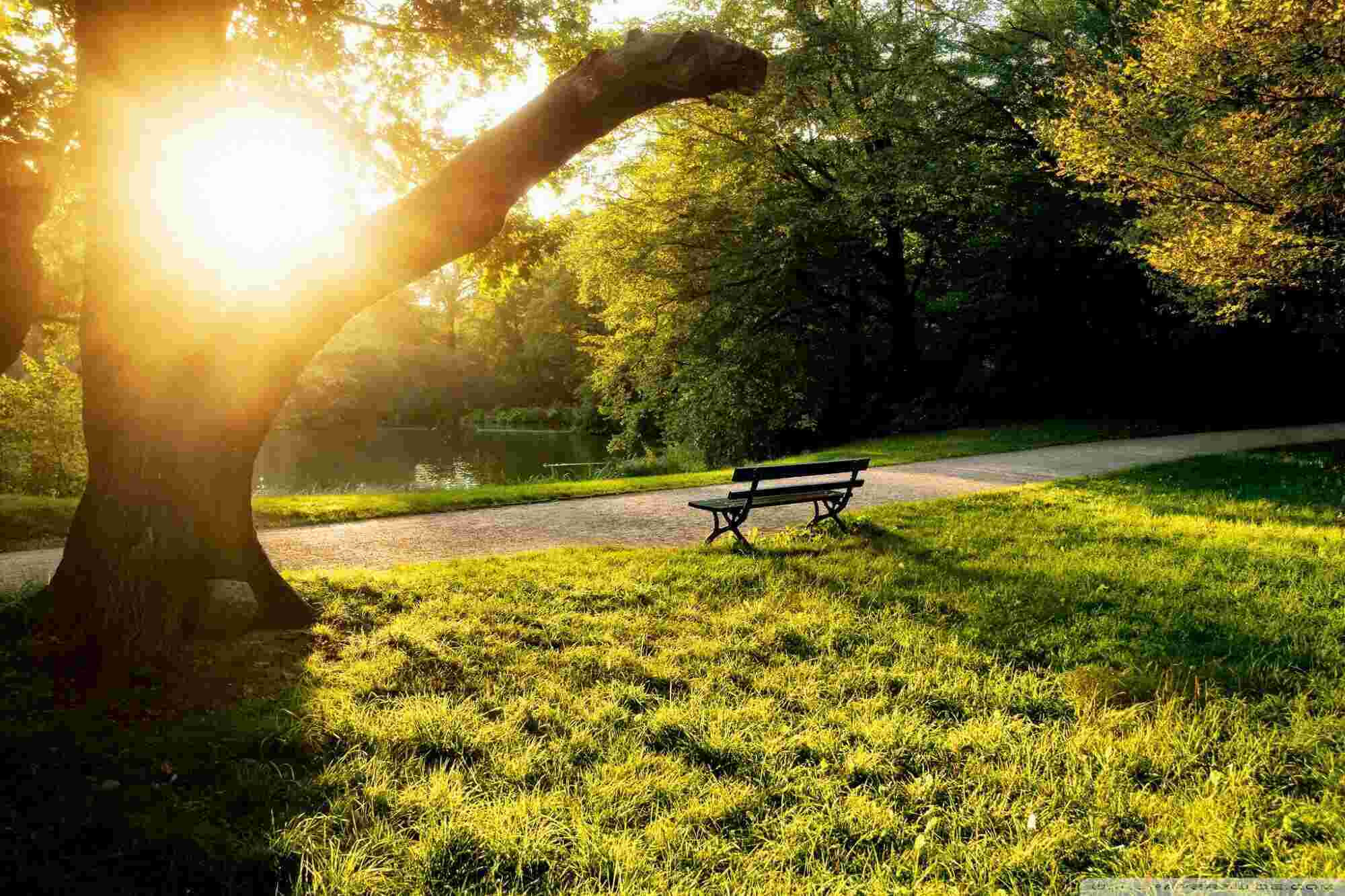Afternoon Meaning and Definition