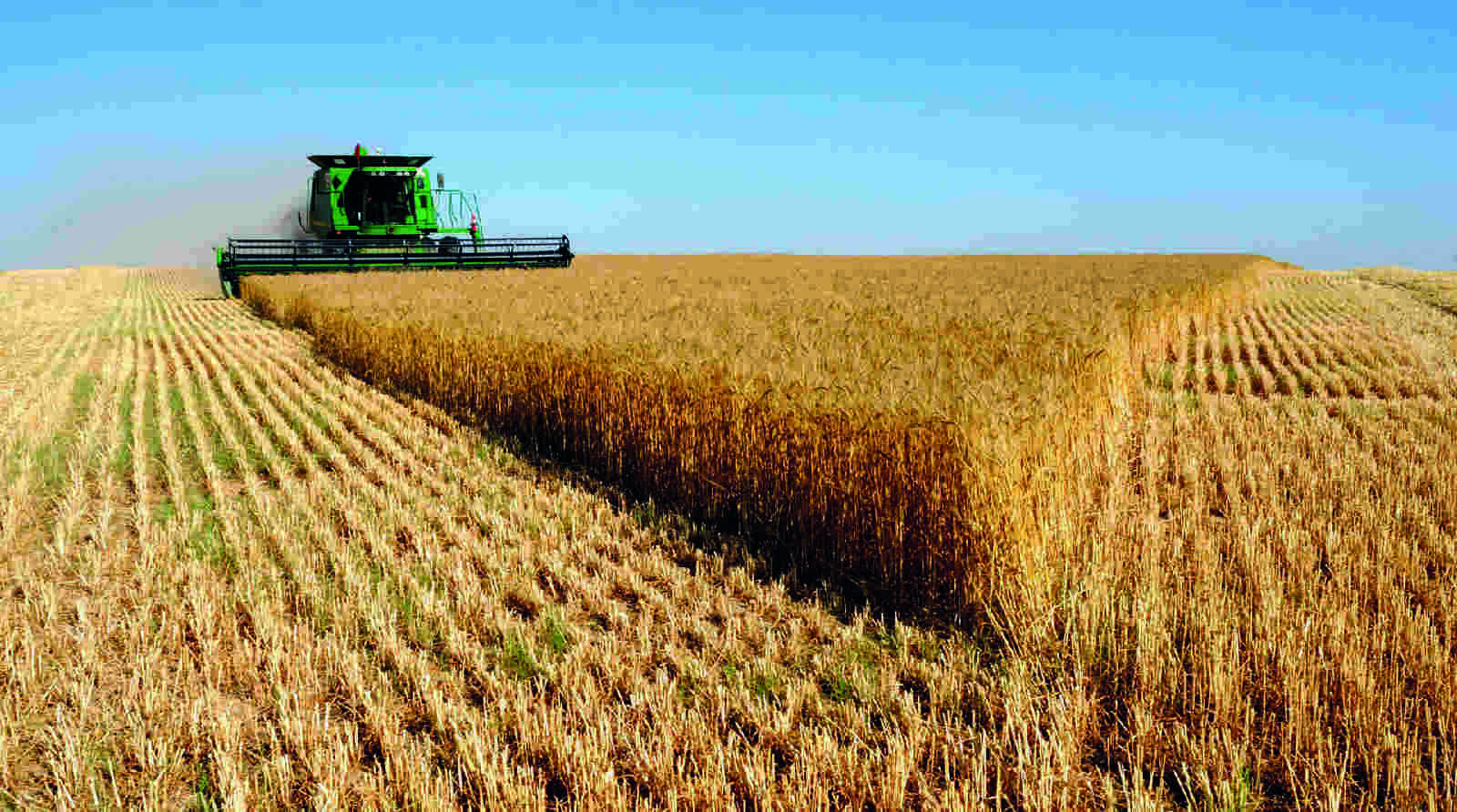 Agricultural Meaning and Definition