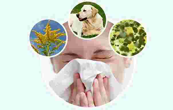 Allergic Meaning and Definition