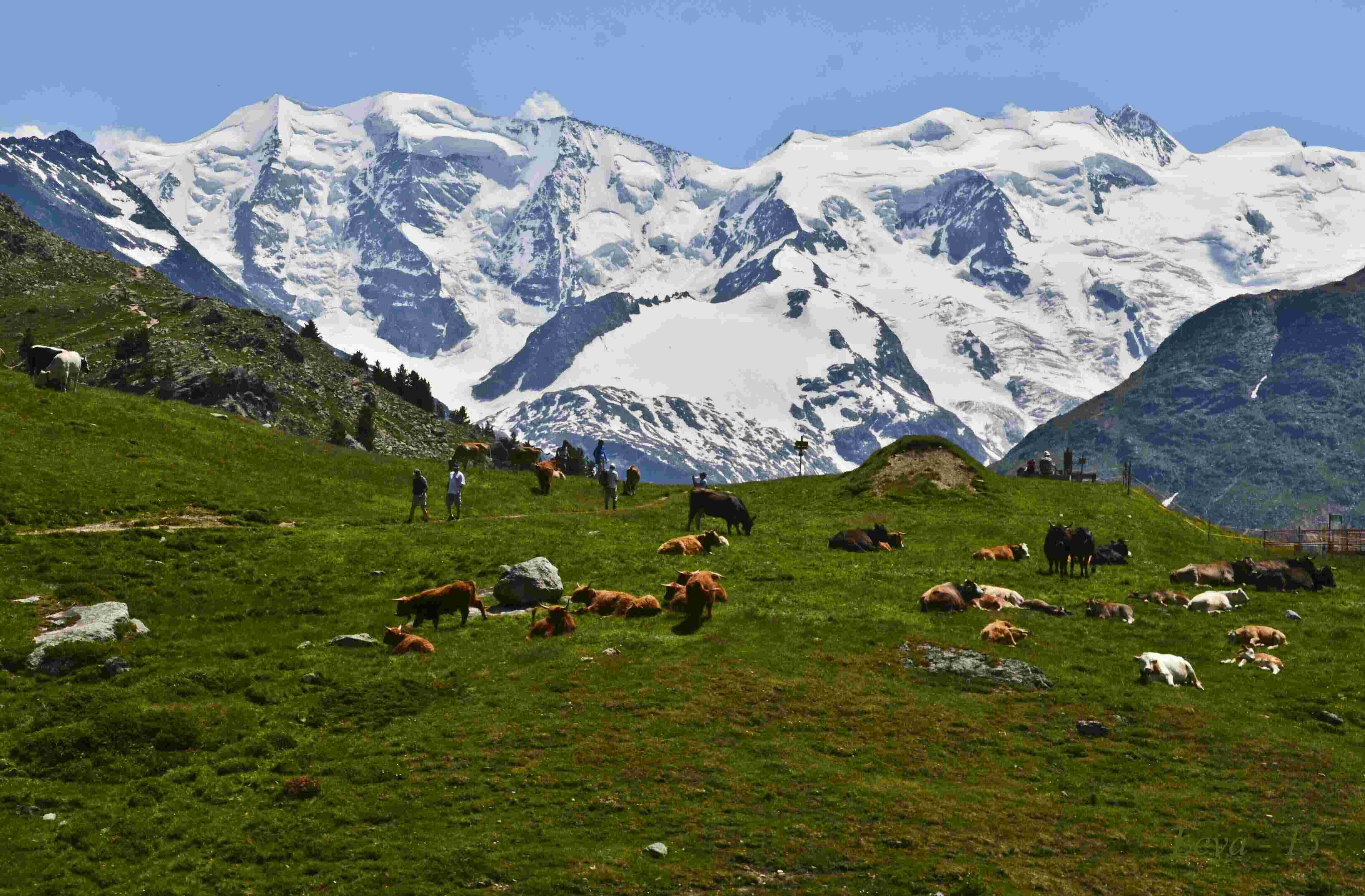 Alpine Meaning and Definition