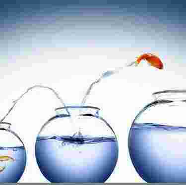 Ambitious Meaning and Definition