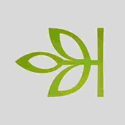 Ancestry Meaning and Definition