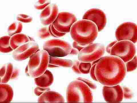 Anemia Meaning and Definition