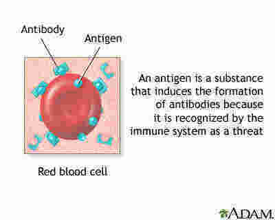 Antigen Meaning and Definition