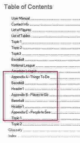 Appendices Meaning and Definition