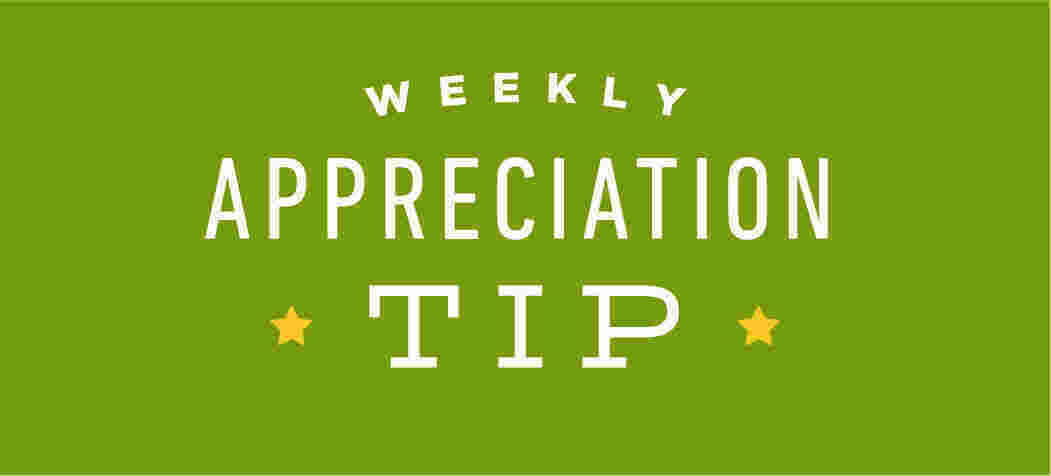 Appreciation Meaning and Definition