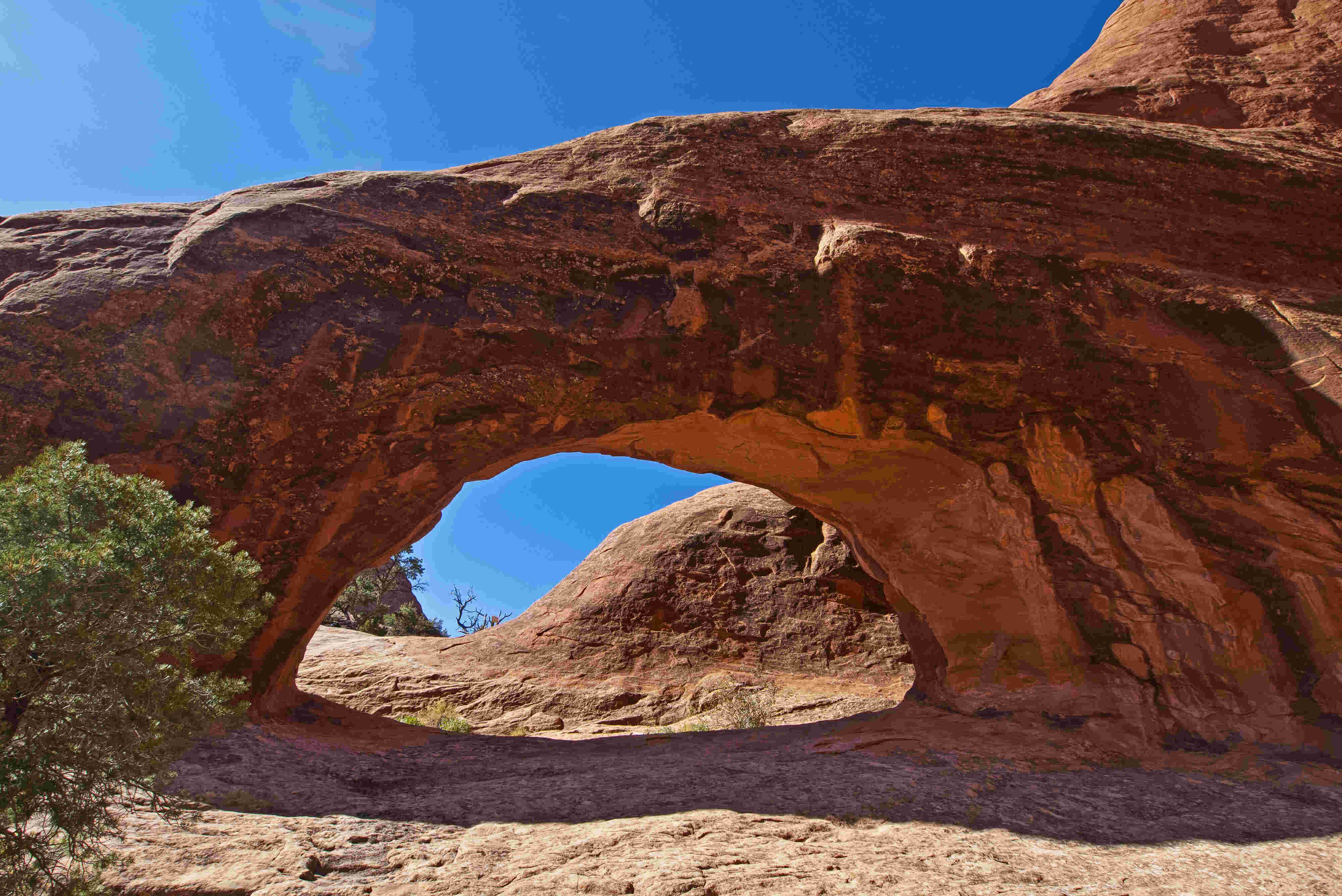 Arch Meaning and Definition