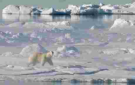 Arctic Meaning and Definition