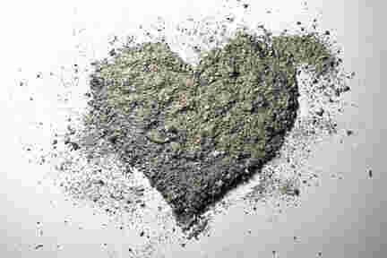 Ashes Meaning and Definition