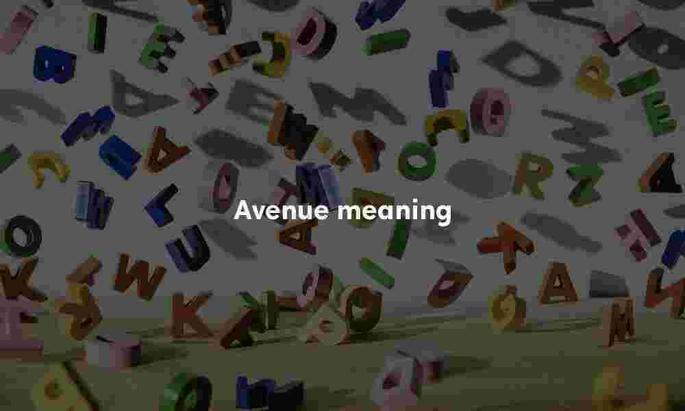 Avenue definition Avenue meaning