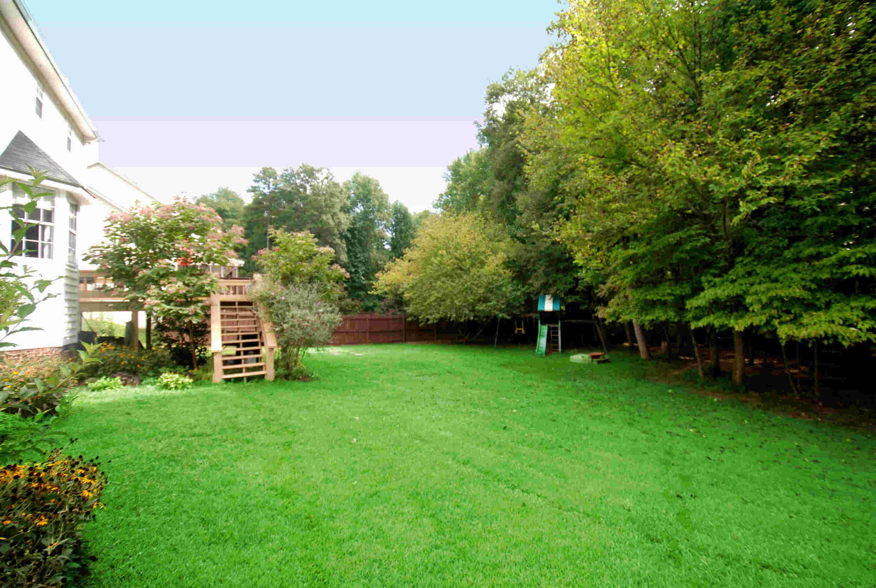 Backyard Meaning and Definition