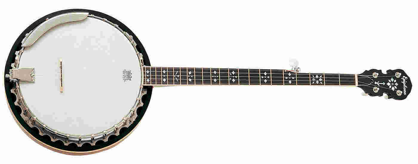 Banjo Meaning and Definition