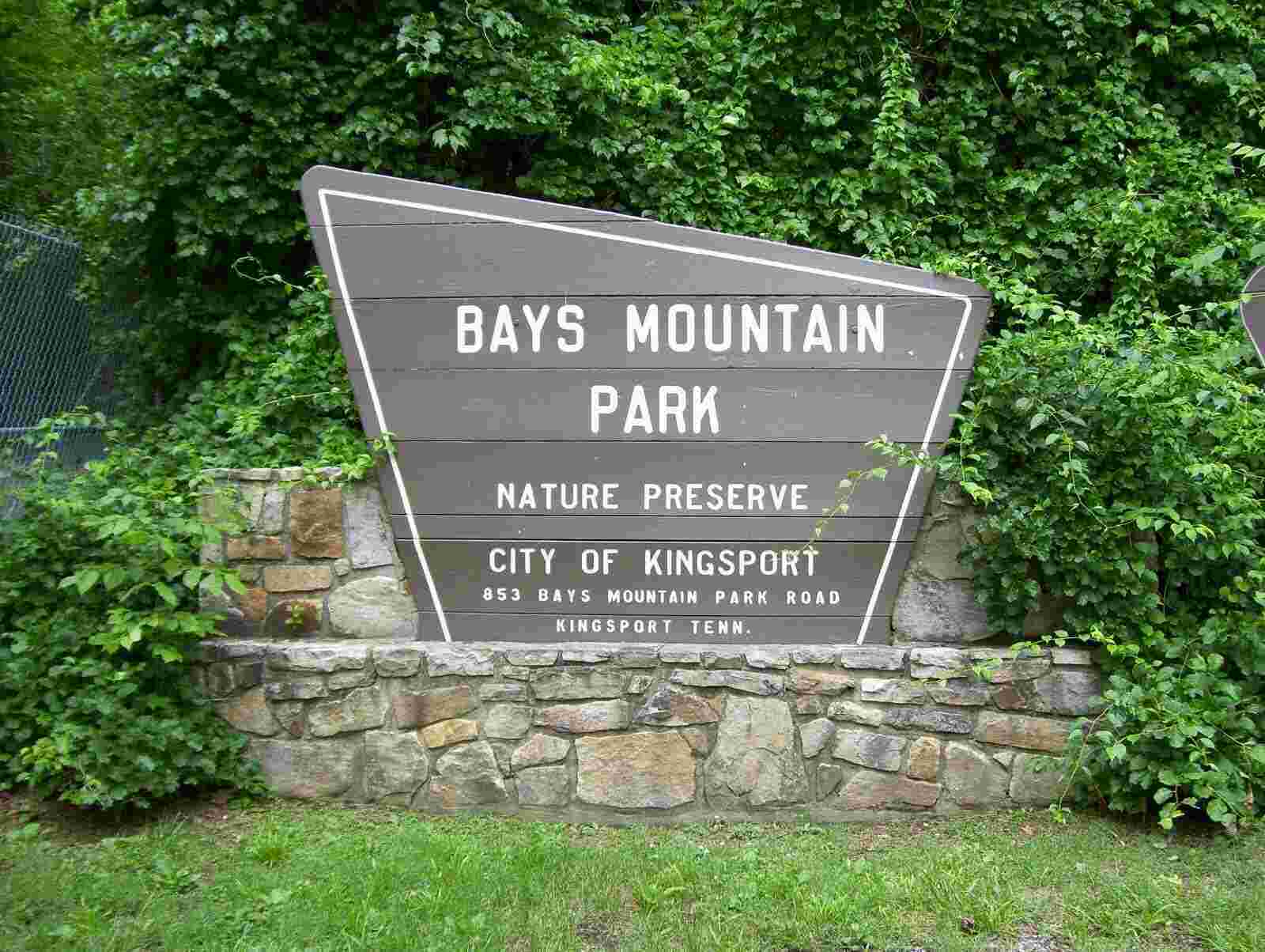 Bays Meaning and Definition