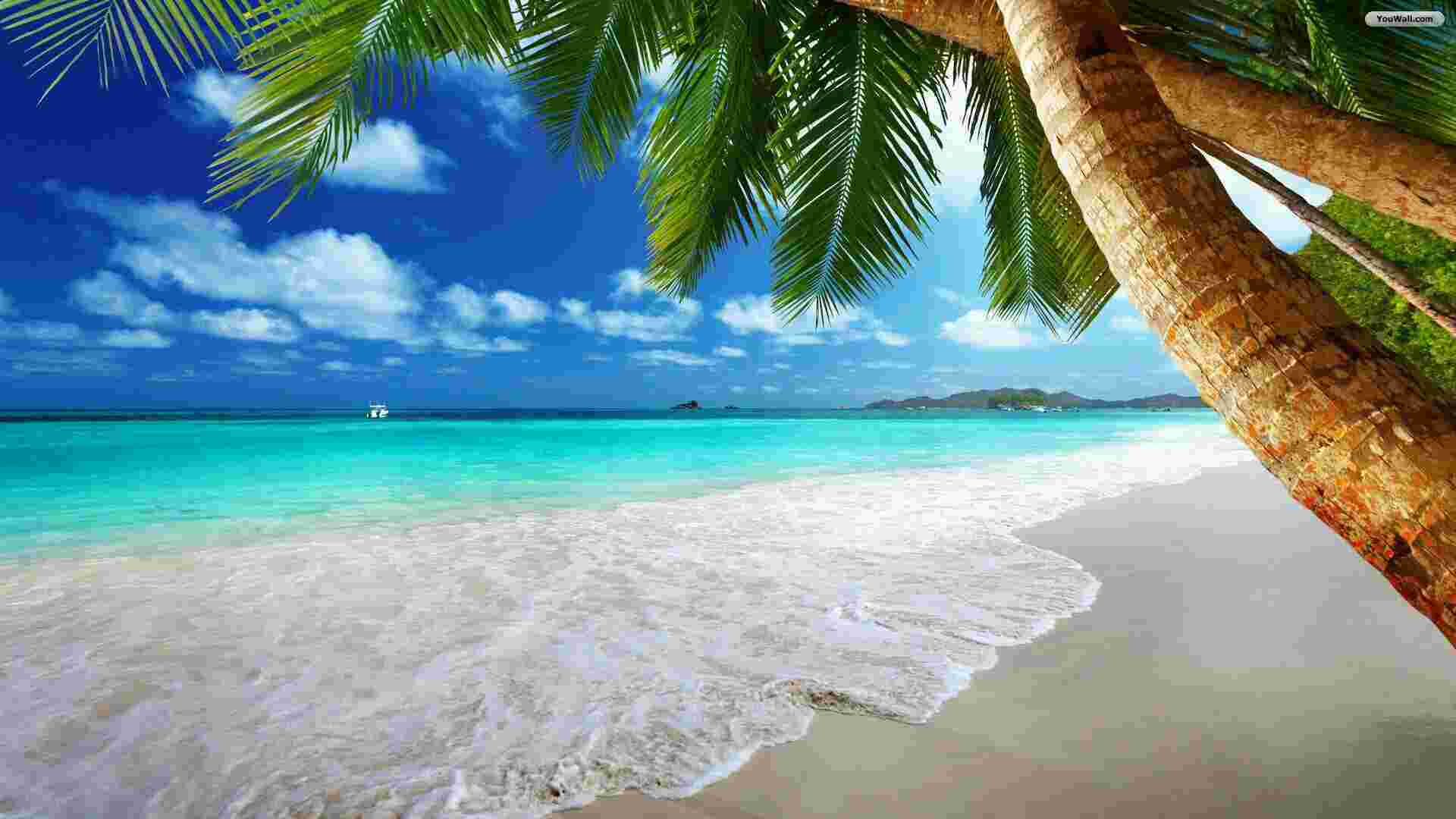 Beach Meaning and Definition