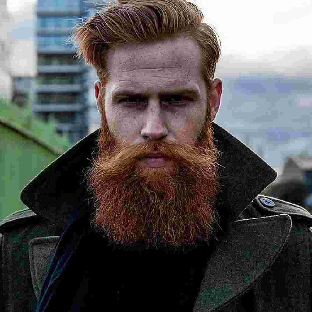 Beard Meaning and Definition
