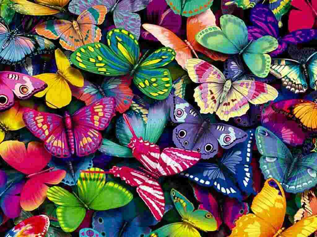 Butterfly Meaning and Definition
