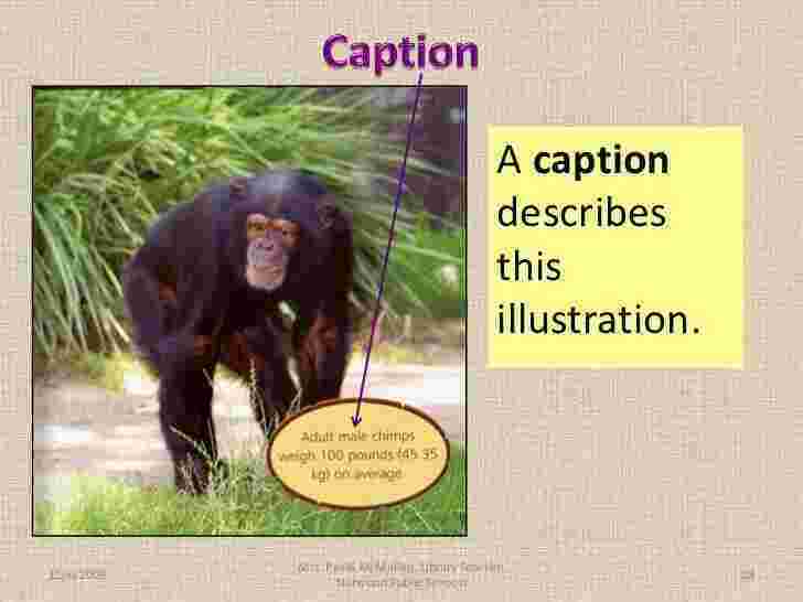 Caption Meaning and Definition
