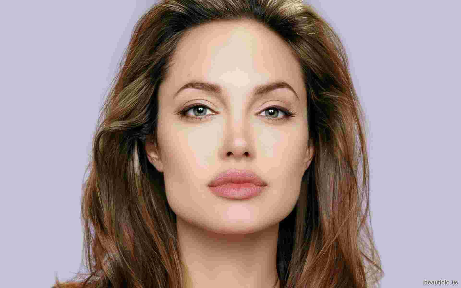 Celebrity Meaning and Definition
