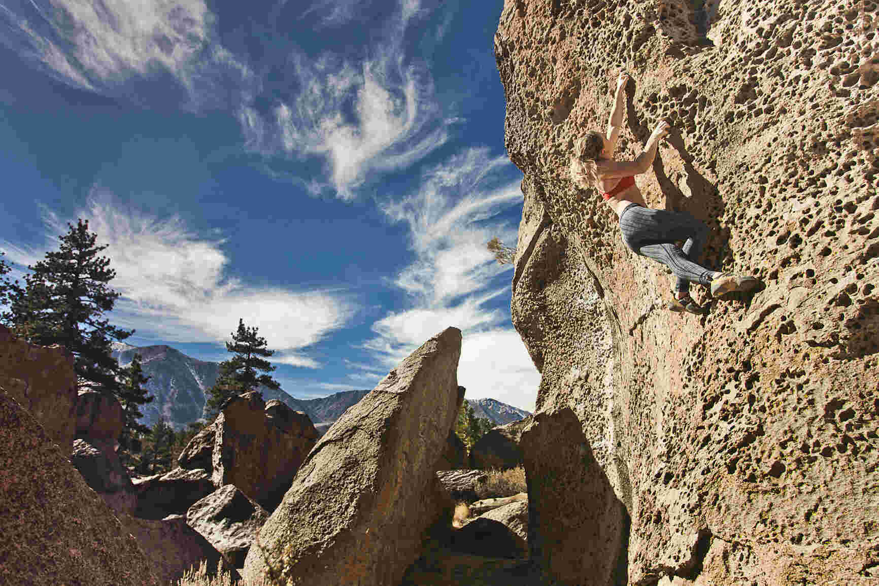 Climbed Meaning and Definition