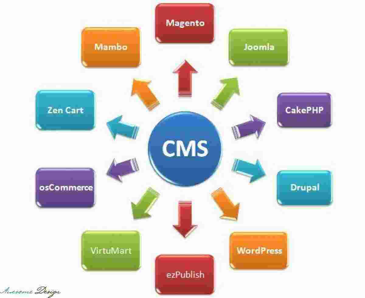 Cms Meaning and Definition