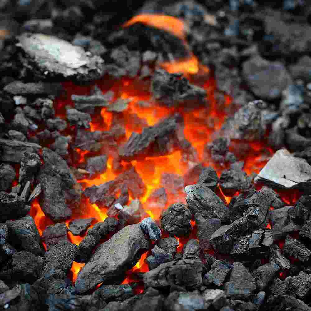 Coal Meaning and Definition