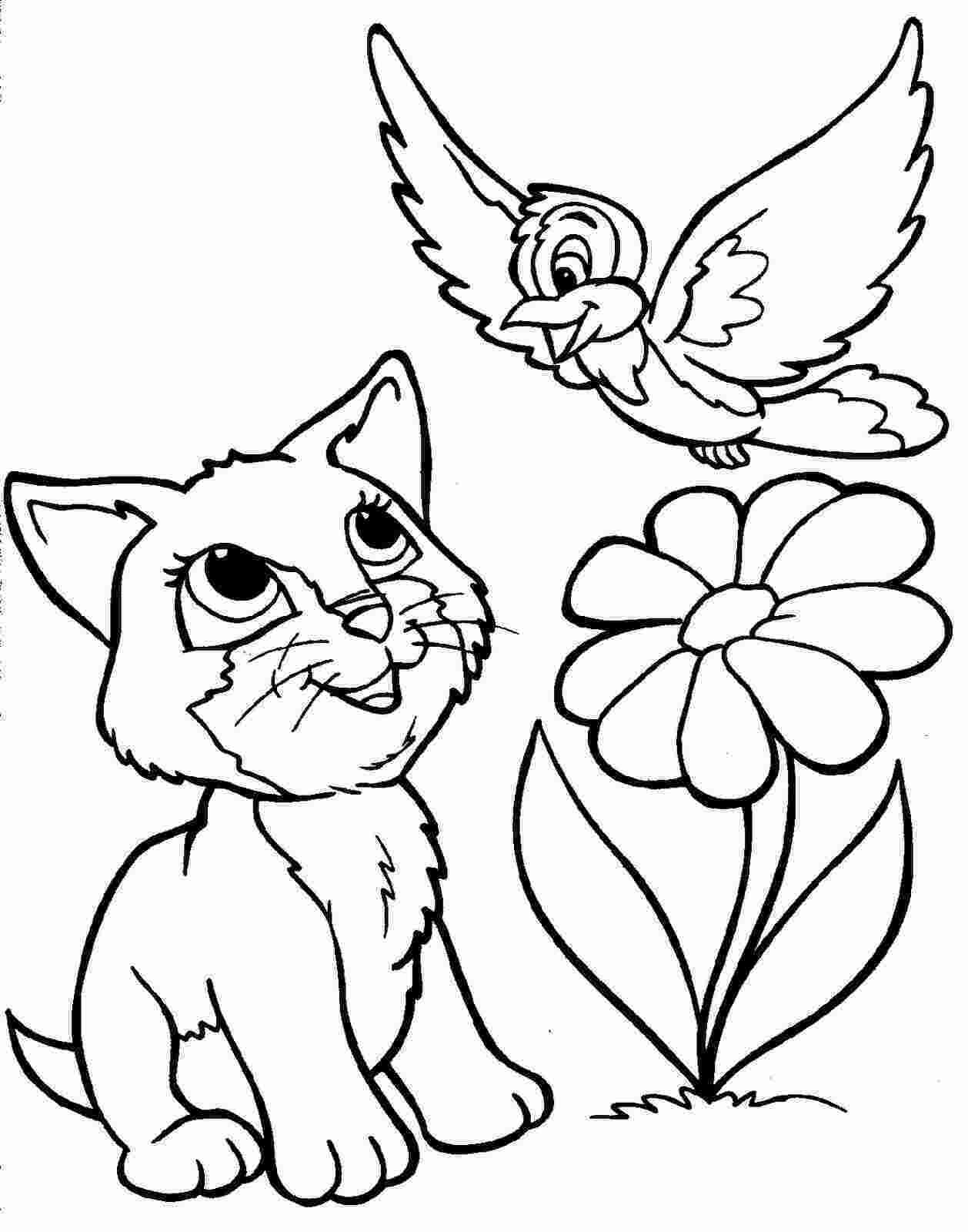 Coloring Meaning and Definition