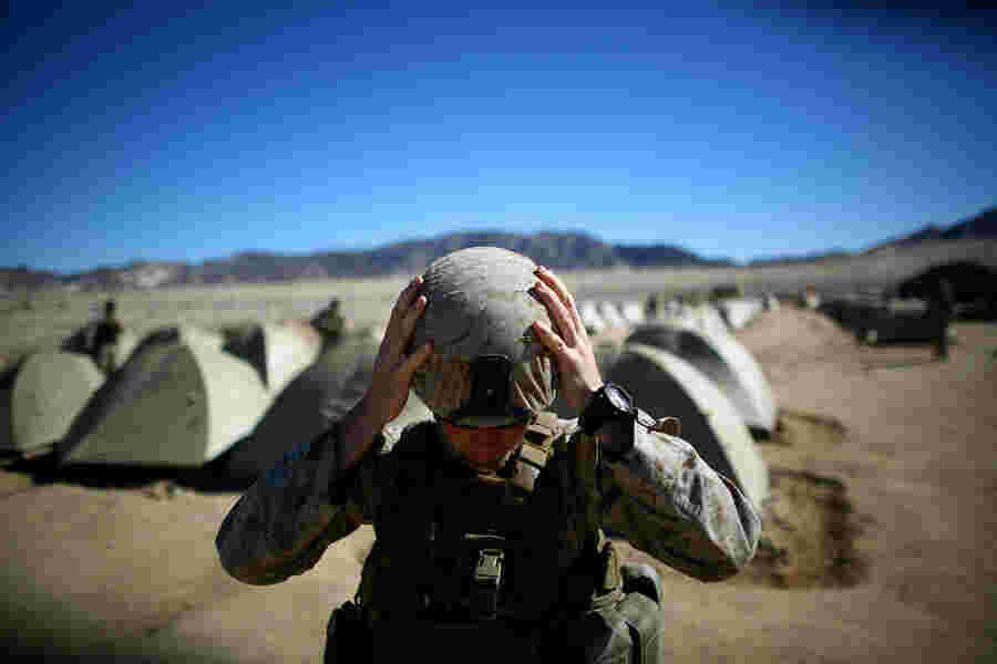 Combat Meaning and Definition
