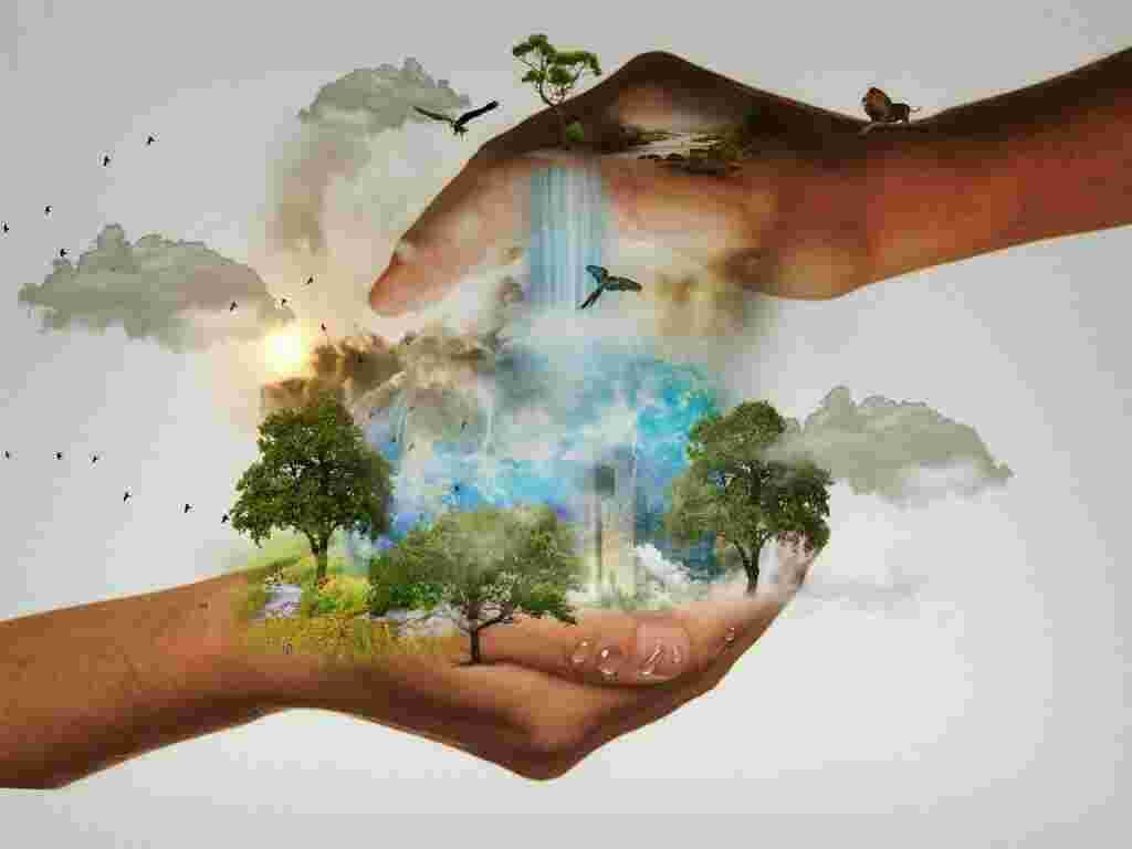 Conservation Meaning and Definition
