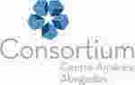 Consortium Meaning and Definition