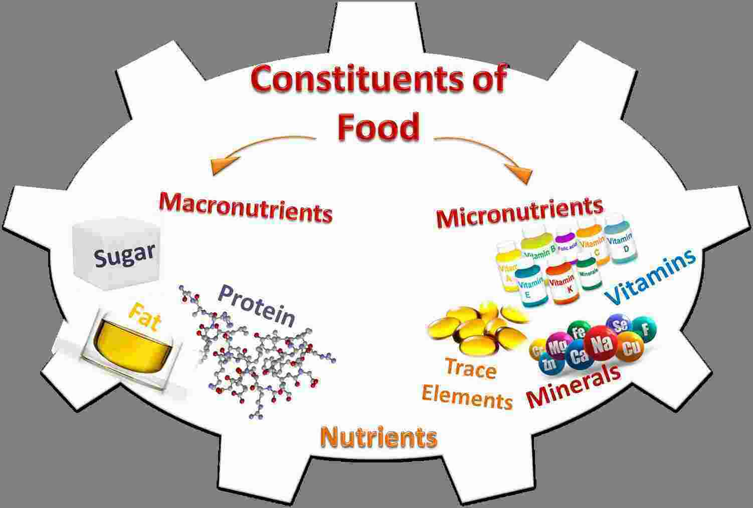 Constituents Meaning and Definition