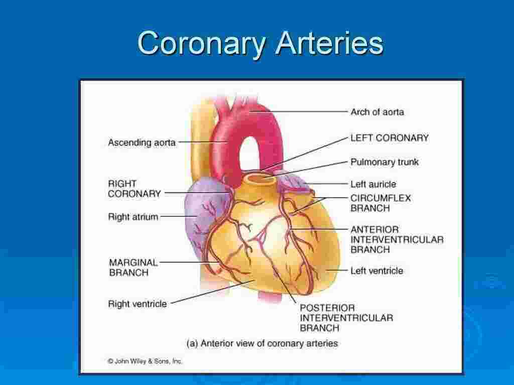 Coronary Meaning and Definition