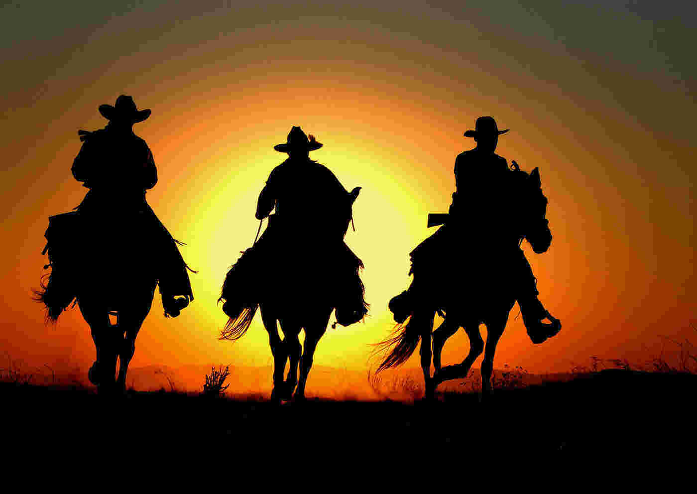 Cowboys Meaning and Definition