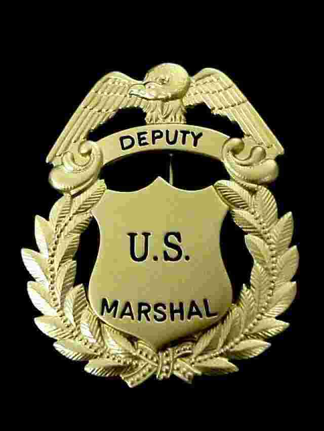 Deputy Meaning and Definition