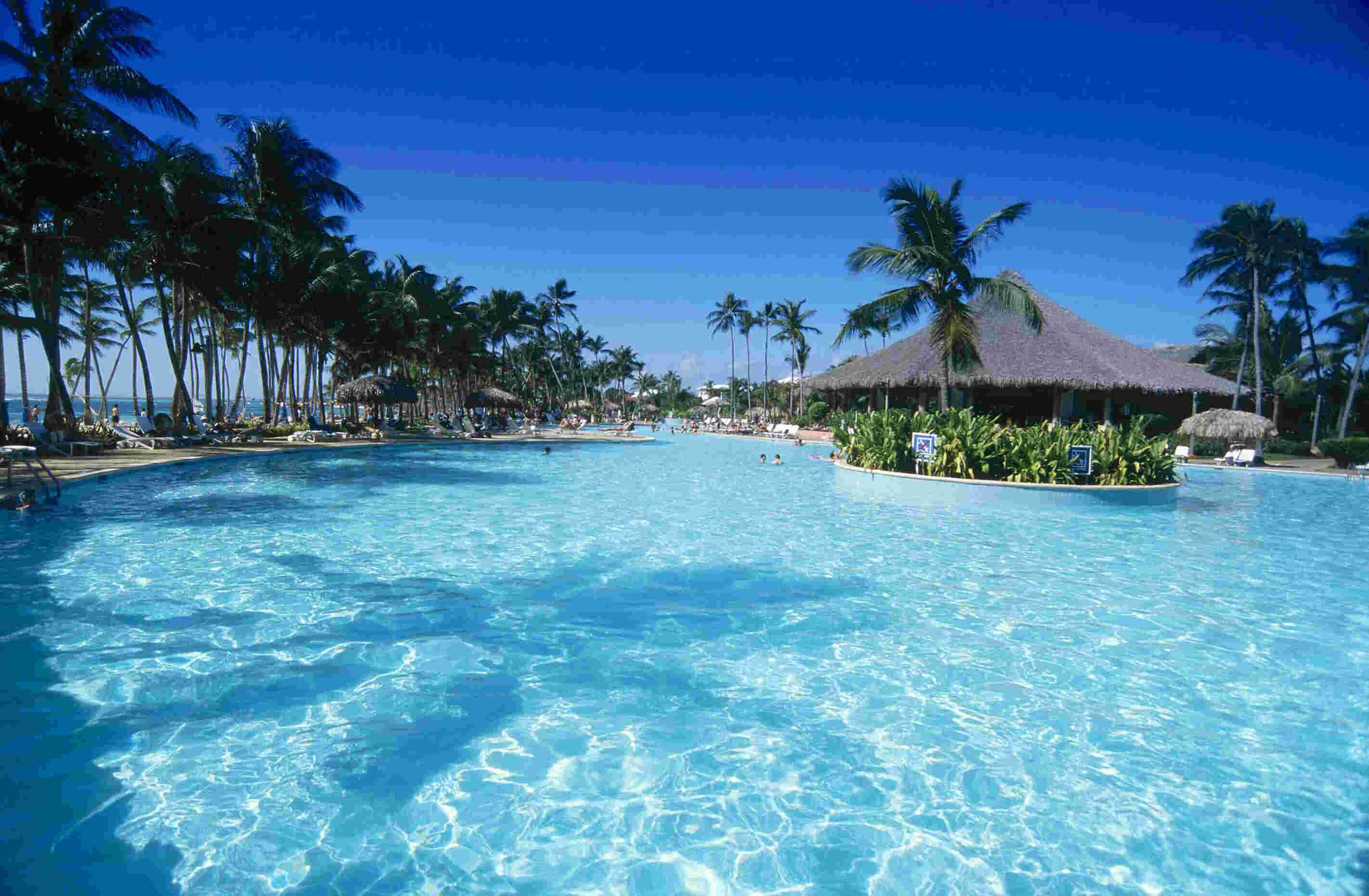 Dominican Meaning and Definition