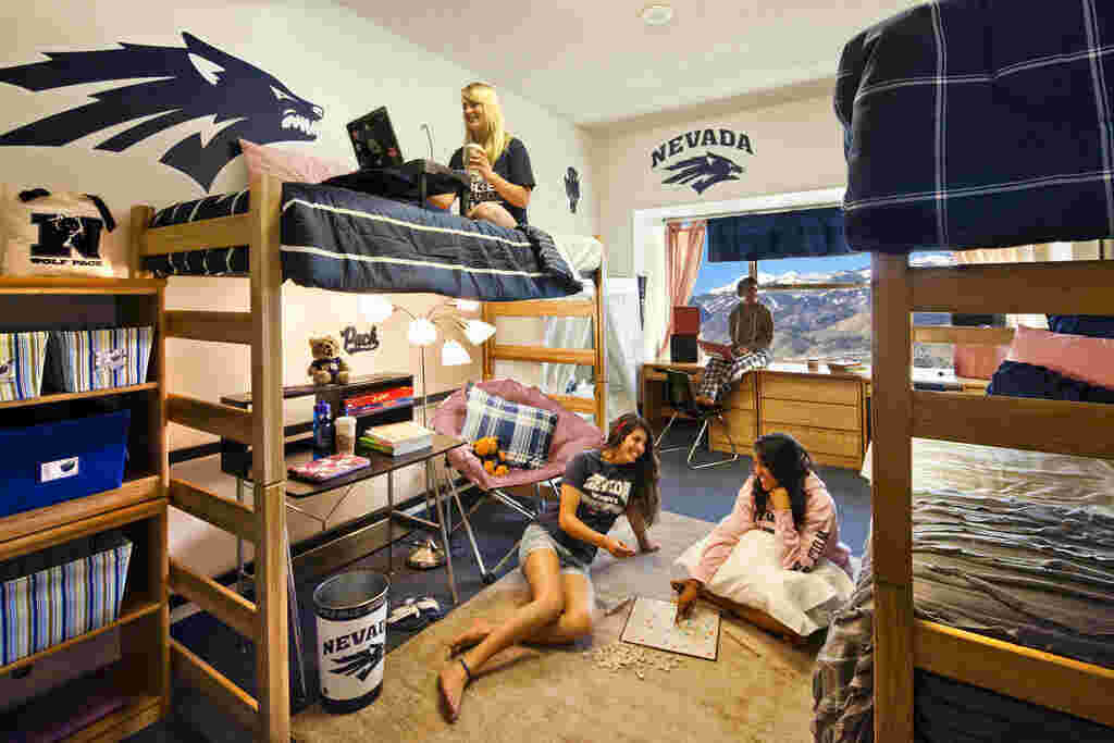 Dorm Meaning and Definition
