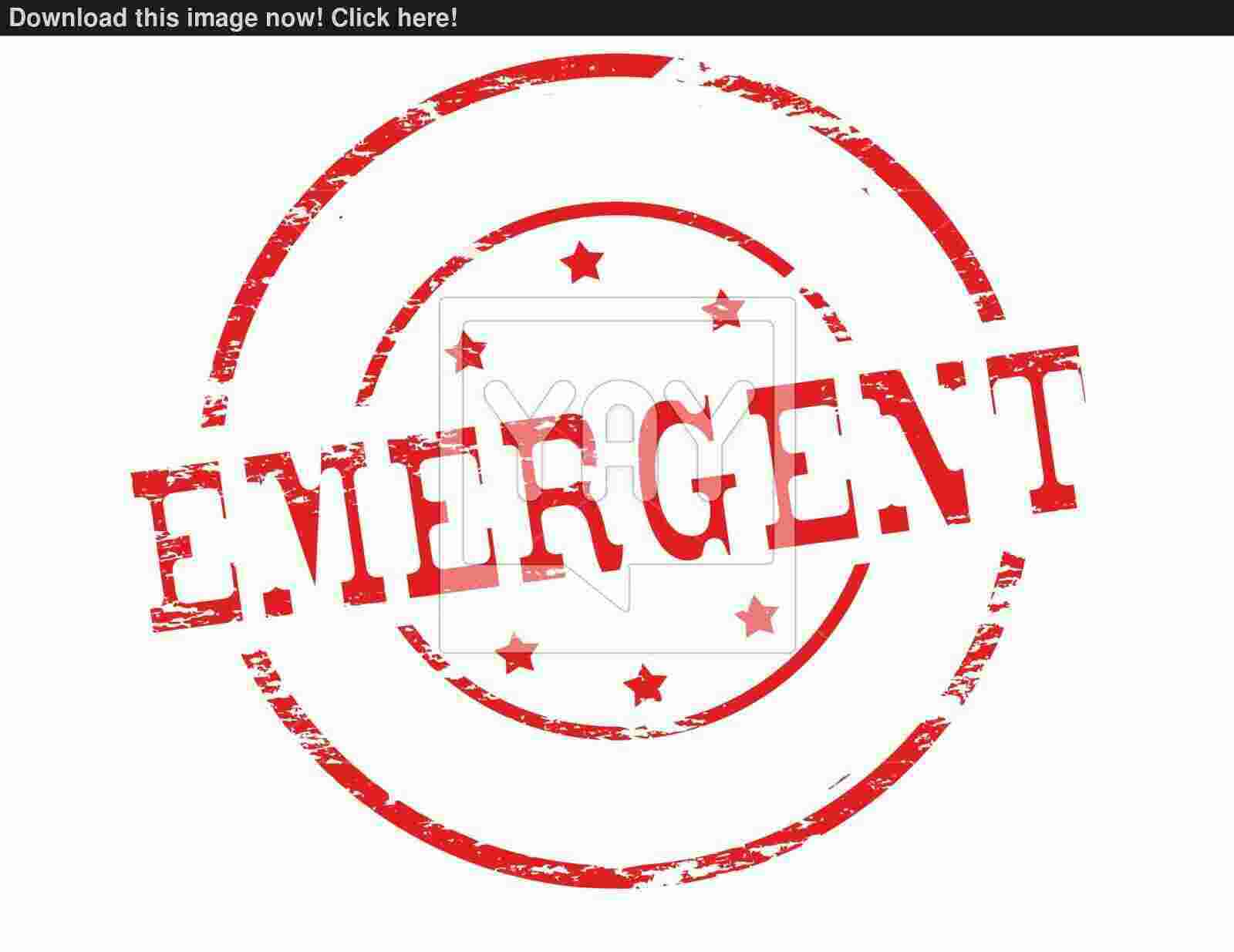 Emerges Meaning and Definition