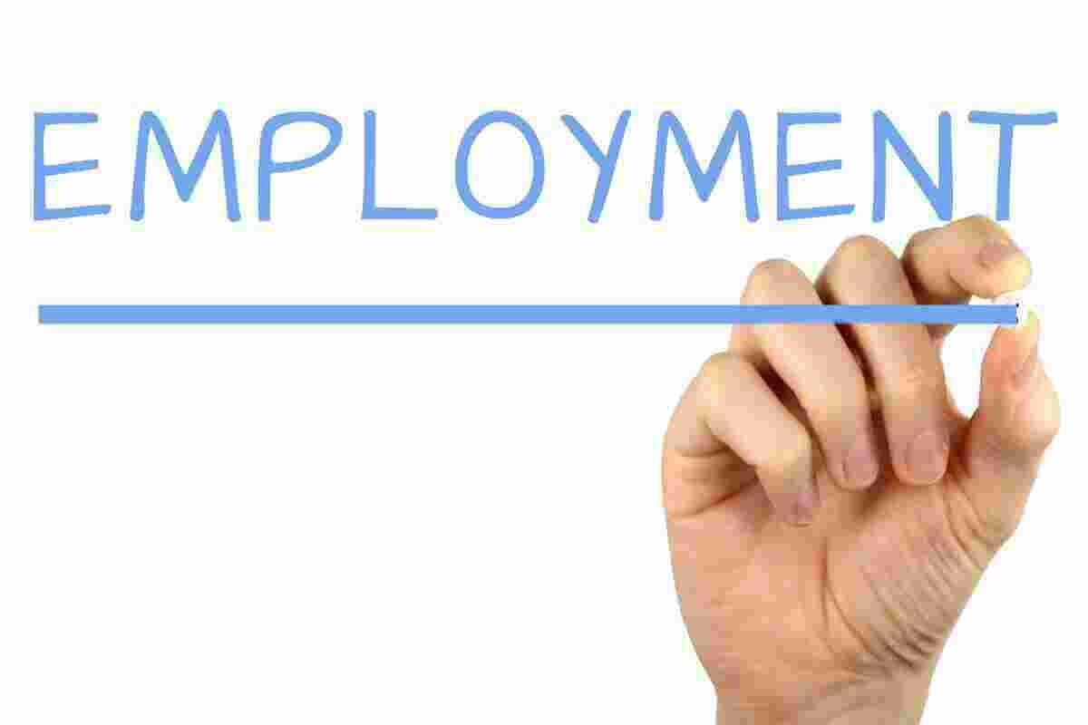 Employment Meaning and Definition