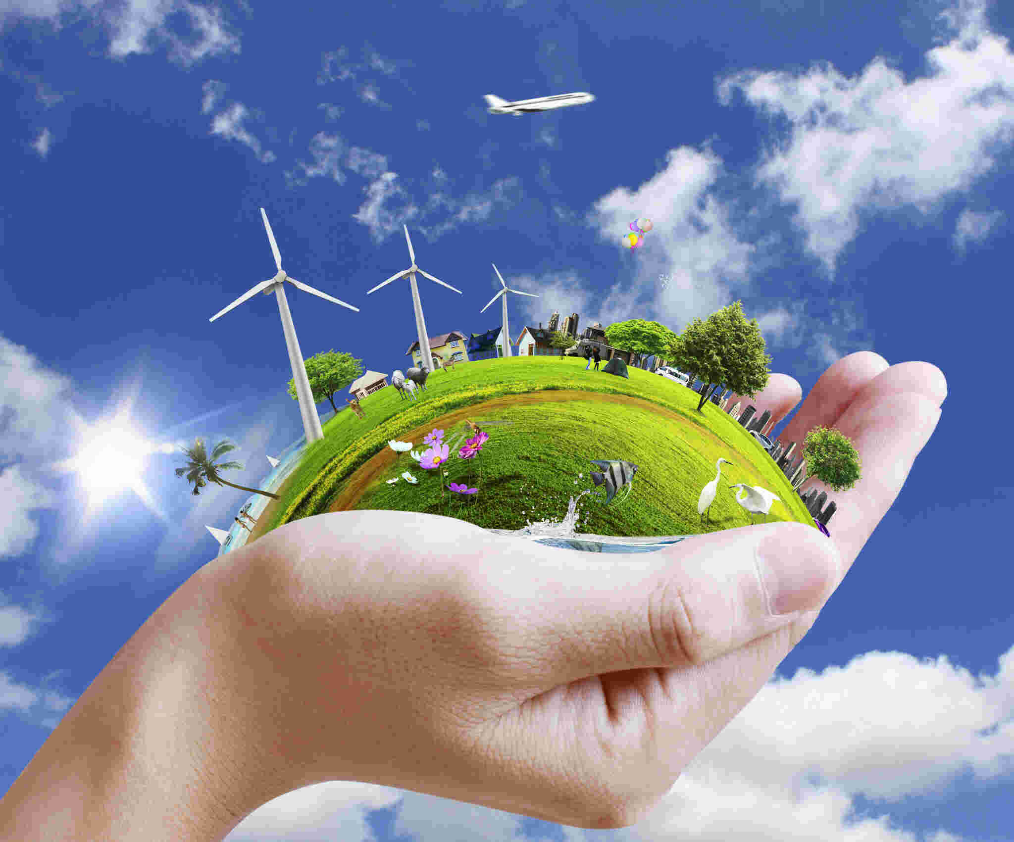 Environmental Meaning and Definition