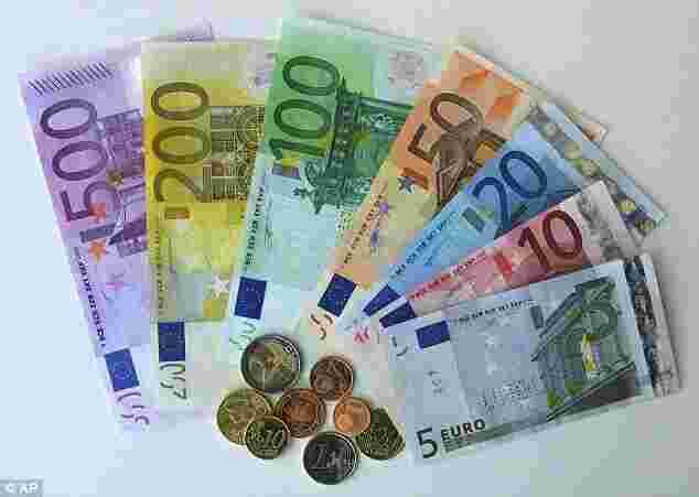 Euro Meaning and Definition