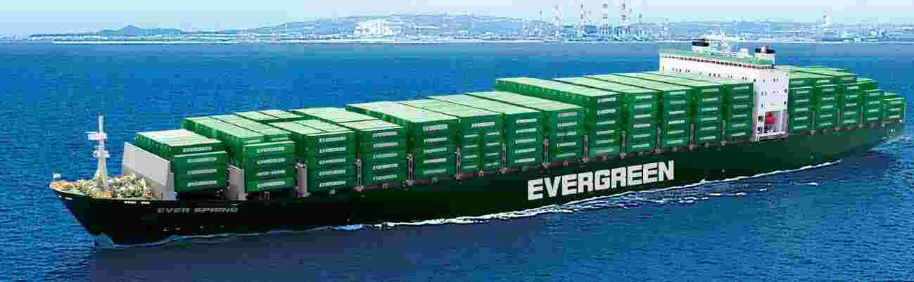 Evergreen Meaning and Definition
