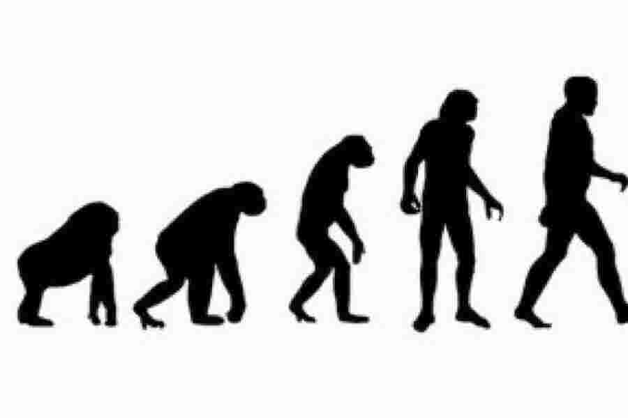 Evolutionary Meaning and Definition