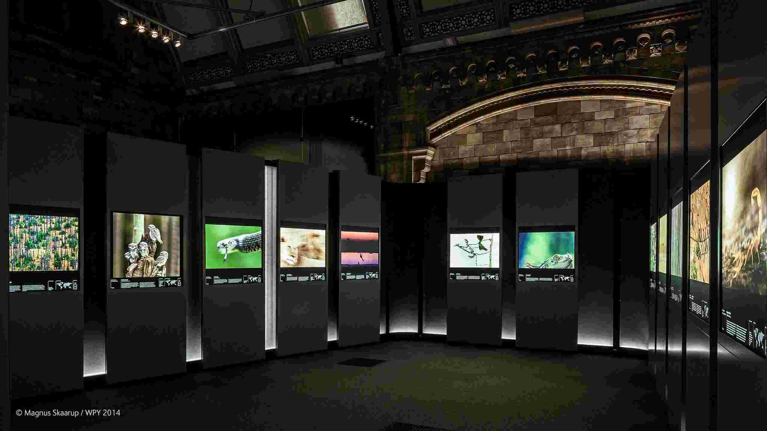 Exhibition Meaning and Definition