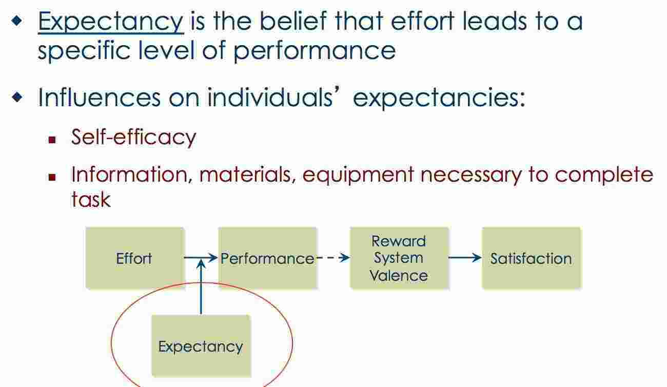 Expectancy Meaning and Definition